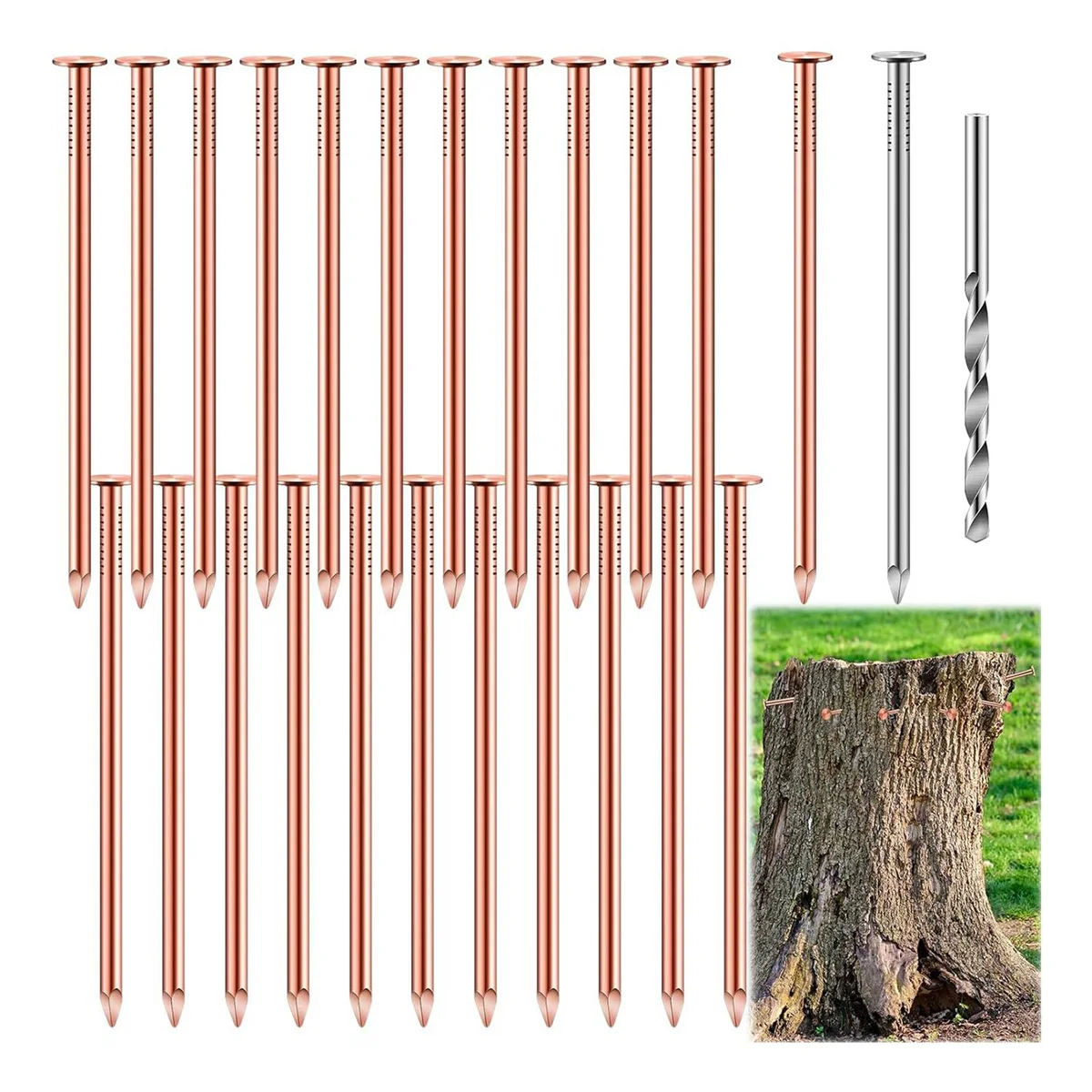 25 Pcs Copper Nails to Killing Trees,3.5 Inch Pure Copper Nails Bulk,Stump Removal Spikes Hardware Nails for Trees