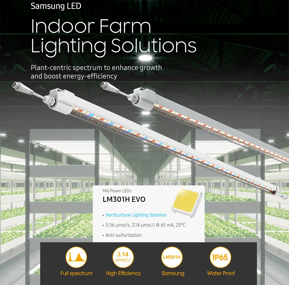 Imagem -05 - Recente Original Samsung Lm301h Evo t5 Tubo 12w 2ft Led Crescer Luz para a Estufa Planta Peças Lote 2023 Mais