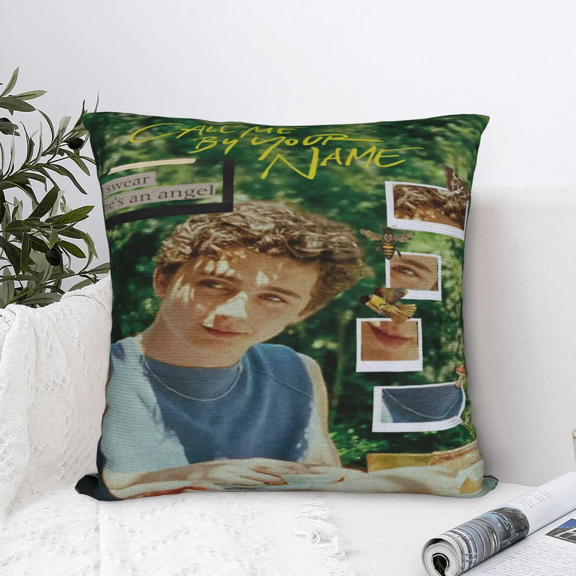 Soft and Sweet Home Call Me by Your Name Decoration Pillowcases Accessories  Pillow Covers Zippered Multi-Size