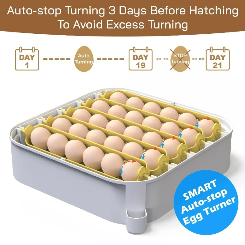 30 Egg Incubator with Humidity Display, Egg Candler, Automatic Egg Turner, for Hatching Chickens