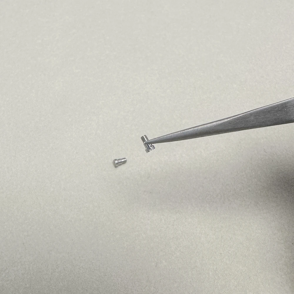 Für Seahorse-UhrenschnallenschraubenSpeedmaster Ocean Cosmic Seahorse300/600Edelstahlschraube