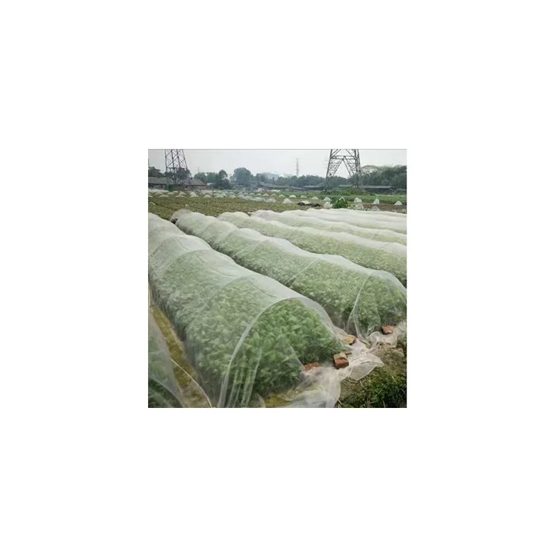 

Filet de protection anti-oiseaux pour plantes, protection contre les insectes jardin, couverture d'entretien fruits60 mailles