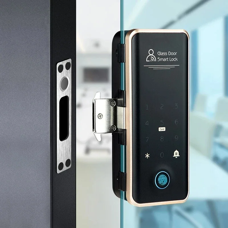 TTLock-Serrure Intelligente à Empreintes Digitales avec Carte de Mot de Passe, pour Porte Coulissante à Poussée en Verre, Sans Clé, Déverrouillage à Distance