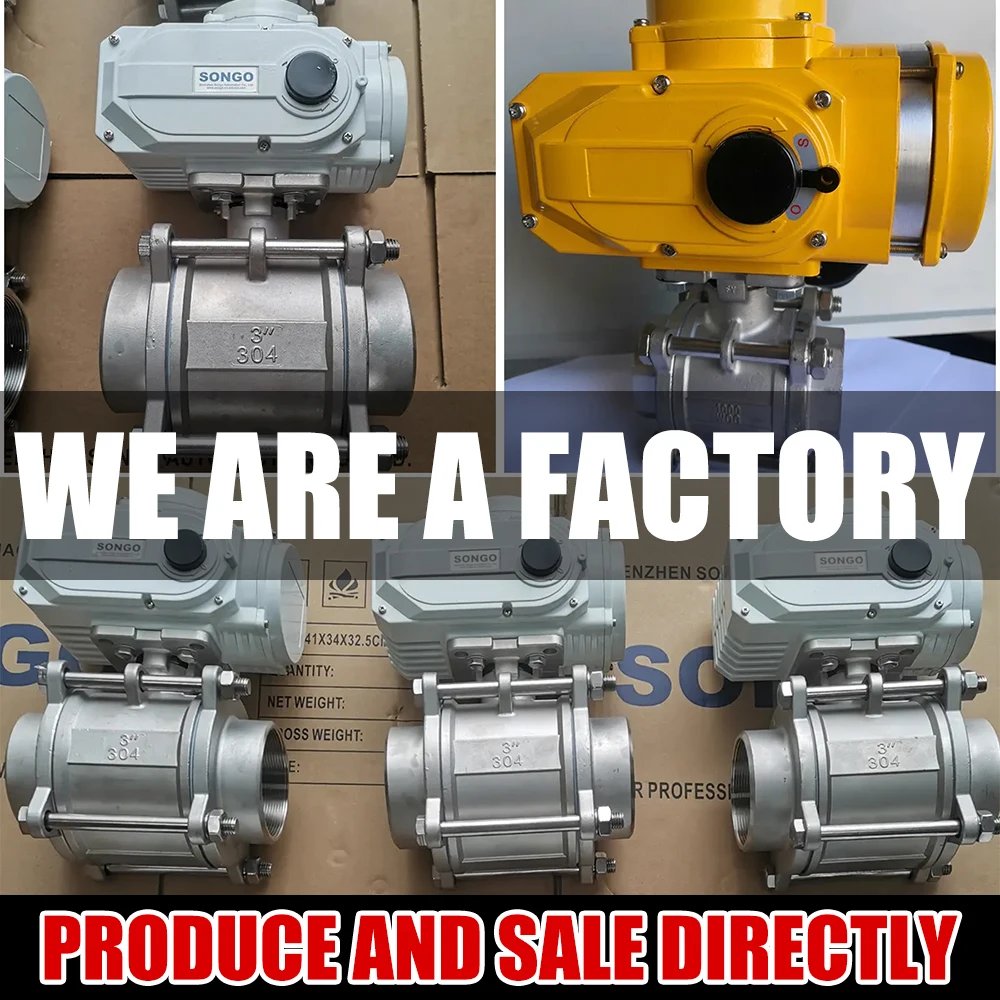 On/off Type DN80 3 Inch 2-way 24v 3 PCS CF8M 220V Female Threaded Stainless Steel Motorized Electronic 2 Way Valve for Water