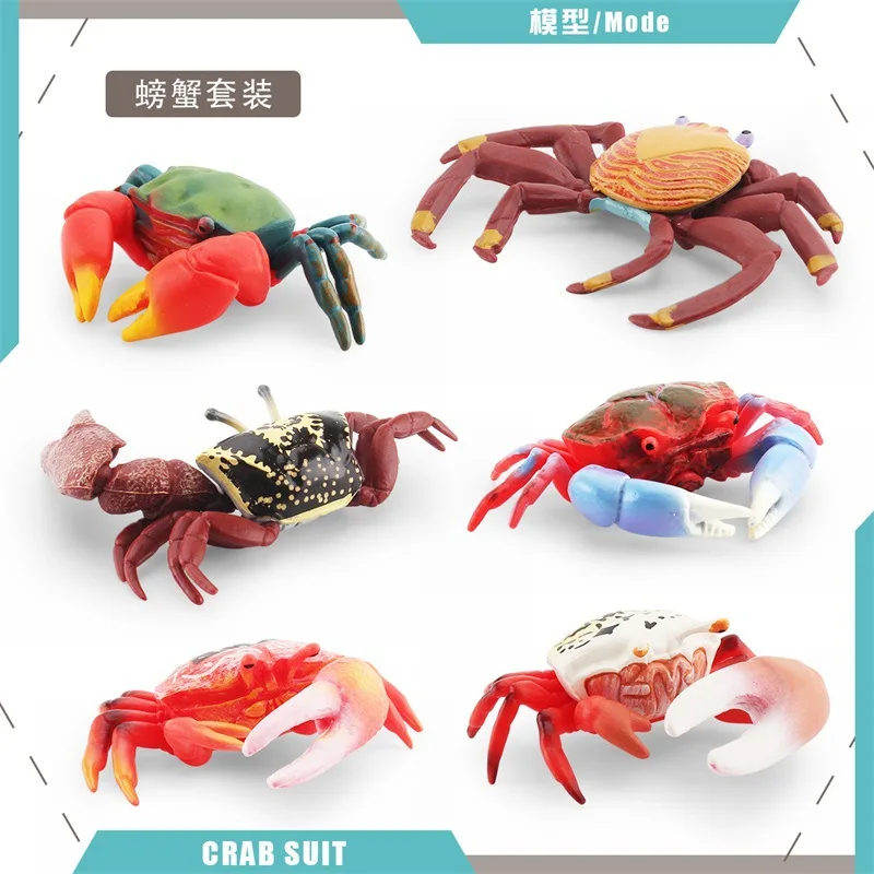 Simulazione Kawaii Marine Animal Crab Lobster Action Figures modello Fish Tank Decor corpo marino giocattoli educativi cognitivi per bambini