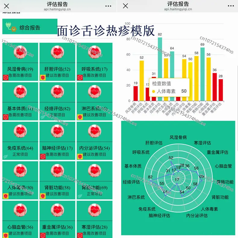 AI Pulse Diagnostic Instrument - Intelligent Health Detector with Five Diagnostics (Tongue, Thermal, Pulse & Facial)