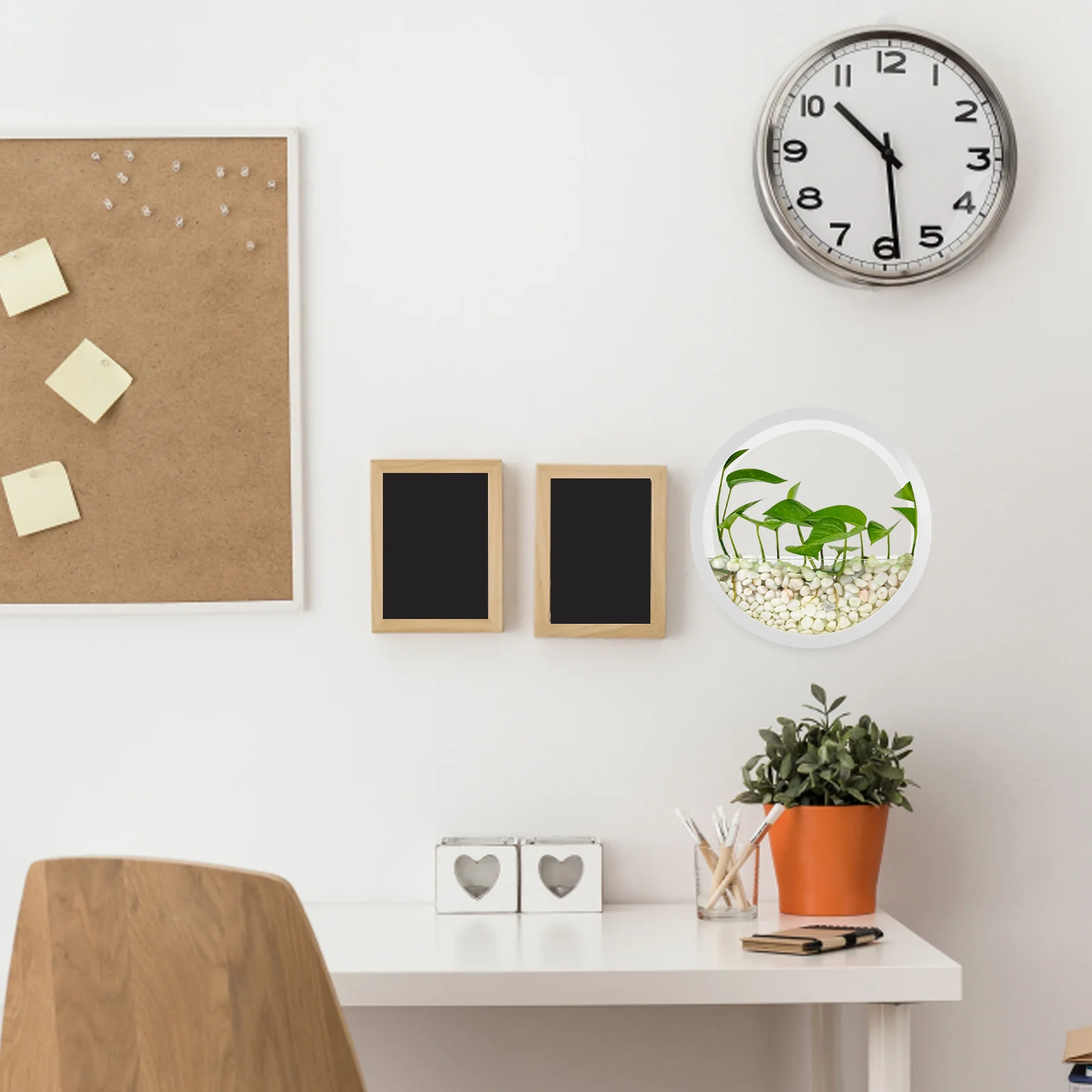 Wandpflanzer für den Innenbereich, Wandmontage, Hydrokultur-Pflanzgefäß, transparenter Topf für Sukkulenten und Wasserpflanzen, stilvolles Design