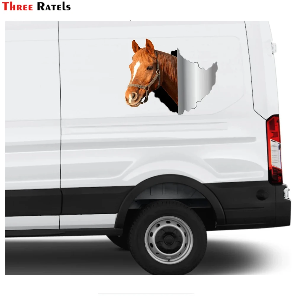 Three Ratels i564 horse lover gifts car stickers animals decor equestrian sticker for car styling decoration