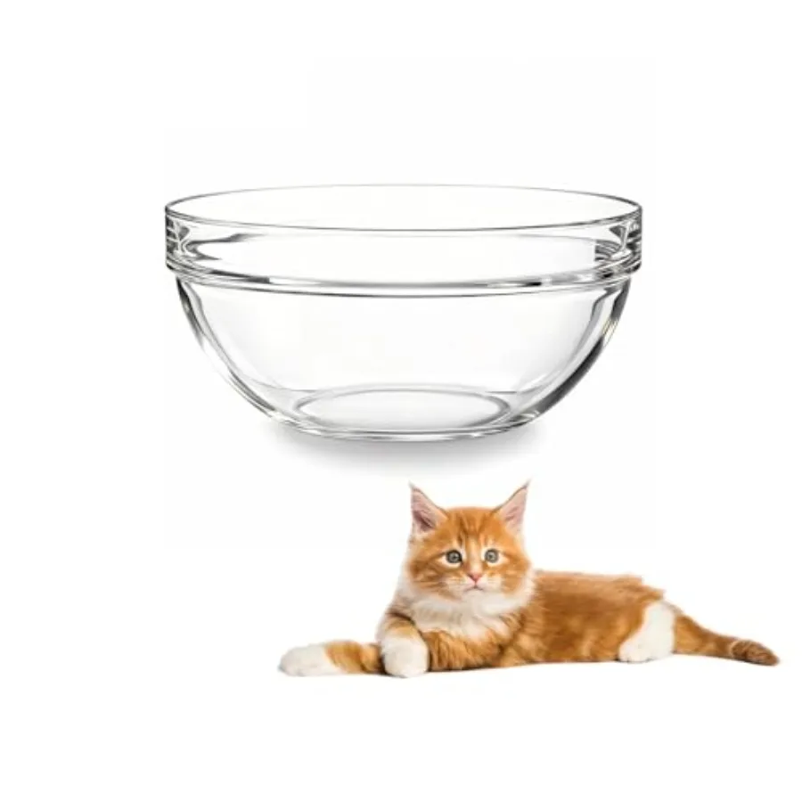 Replacement Glass Bowl for 3.75in Feeder Stand Small, 13.7 oz/ 1.7 Cups, Dishwasher and Microwave Safe