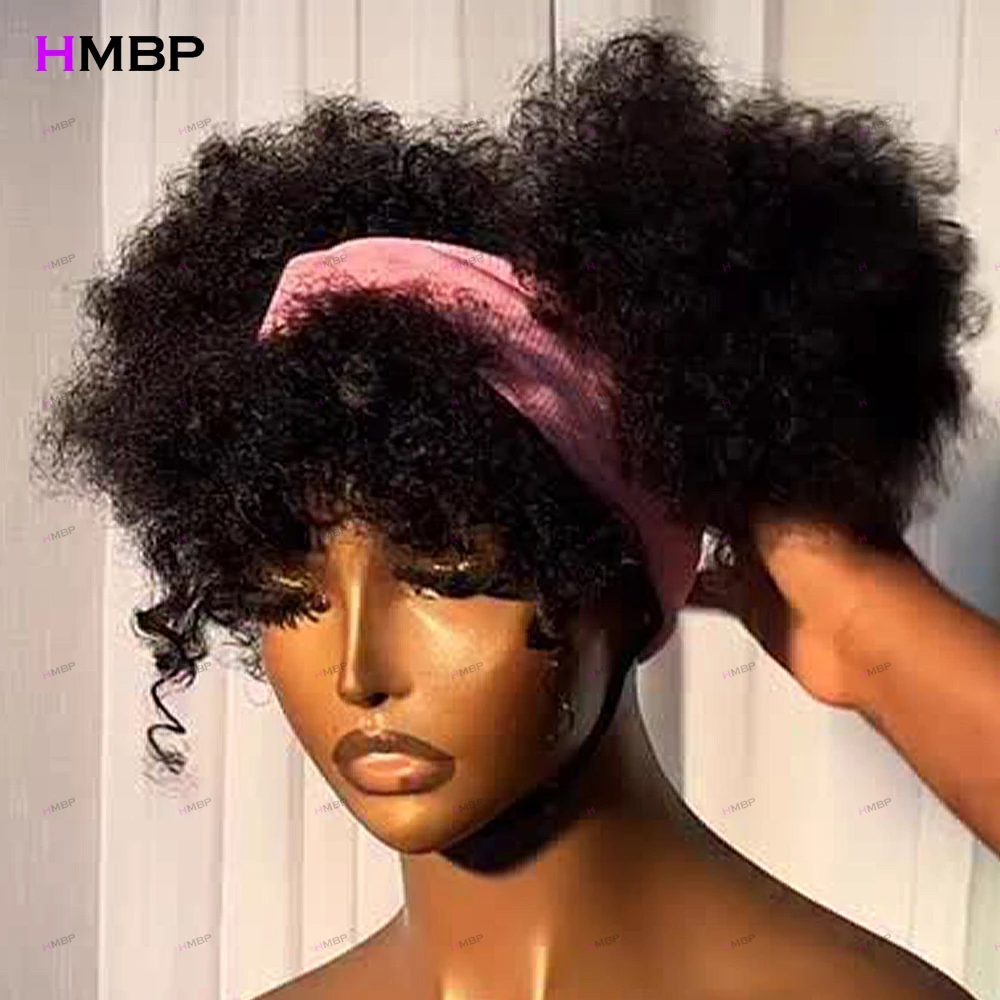 10-18-inch-glueless-afro-kinky-curly-wigs-human-hair-400-density-100-human-hair-wigs-13x6-hd-lace-frontal-wigs-for-black-women