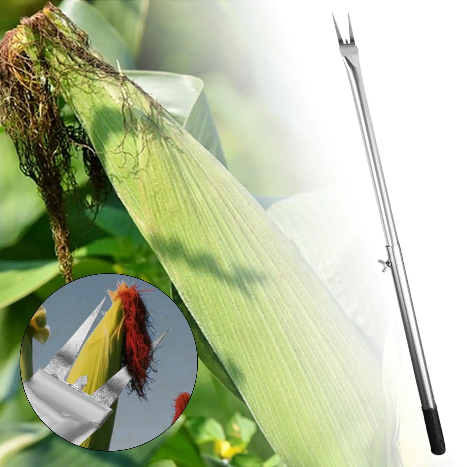 

Corn Peeler Stainless Steel Cutter Practical 52-78cm Remover Use Corn on The COB Remover for Farm Garden Vegetable Fruit Outdoor