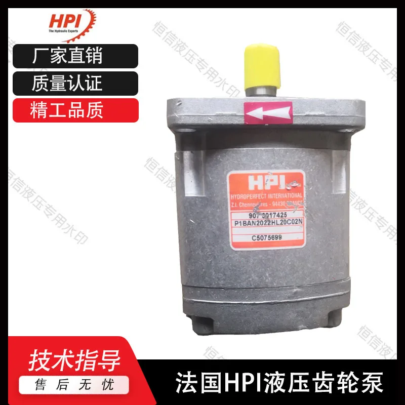 

Масляный насос Шестеренчатый насос HPI P1AAN2010YL20A01NC5075501 Гидравлический насос E5091580