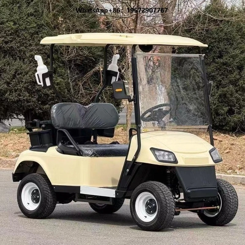 Cheaper 2-Seater Golf Cart Electric Lithium Certified Electric Golf Cart for Golf Course and Neighborhood