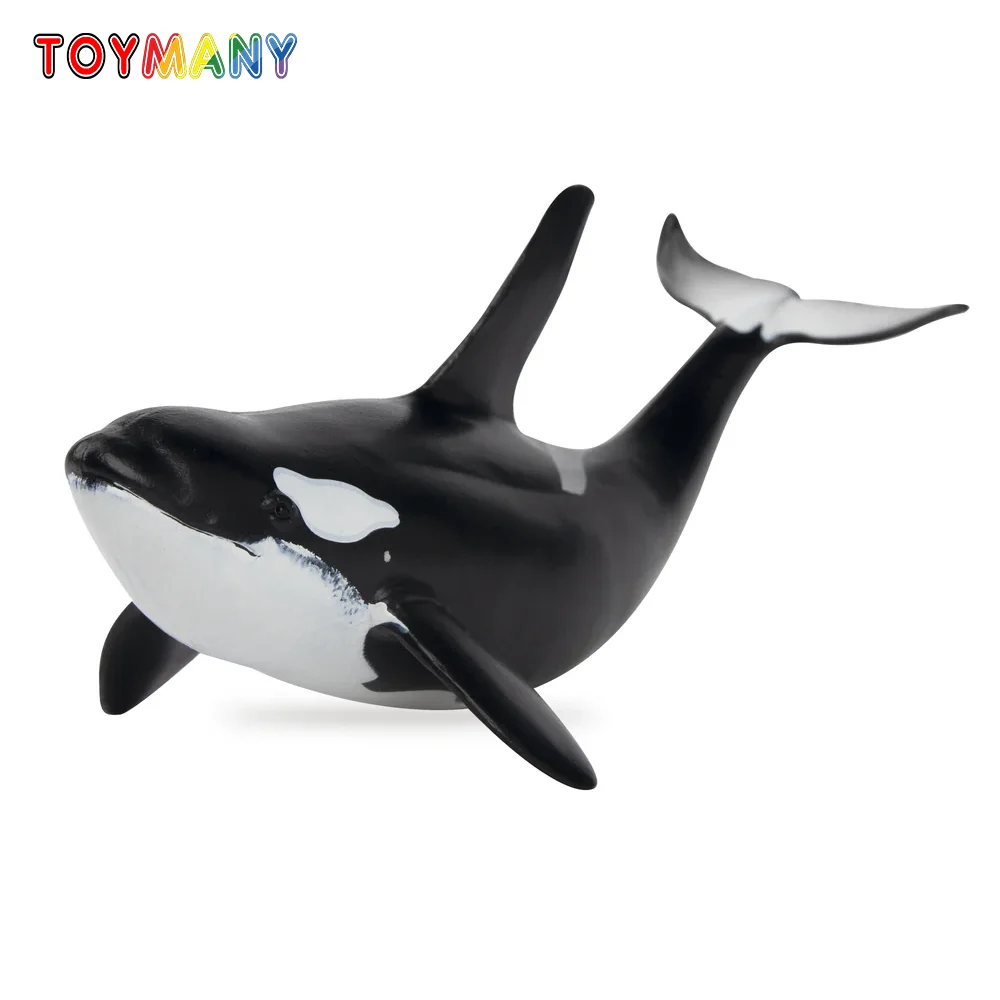 Toymany Simulation Orca Polar Animal Model Toy Mini Figures Dolls Action Figurines Toys for Children Gift Cake Decoration