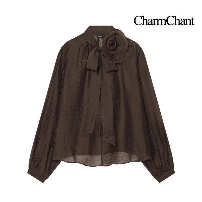 CHARMCHANT Women's 3D Rose Appliques Blouse Top Outerwear Tie-Neck Balloon Sleeve Semi-Sheer Loose Casual Daily Autumn 2026