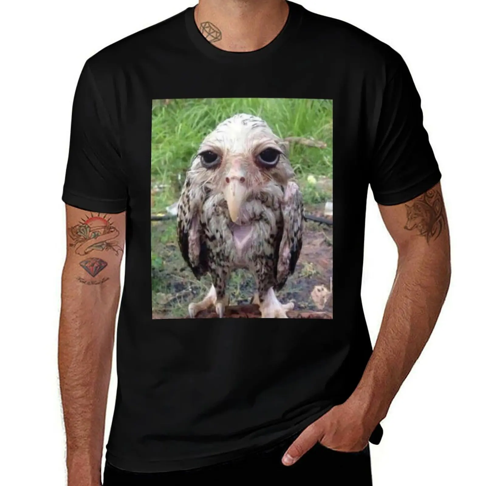 

Wet Owl Meme Essential T-Shirt custom t-shirts oversized t shirt fashion shirts vintage anime shirt men t shirt