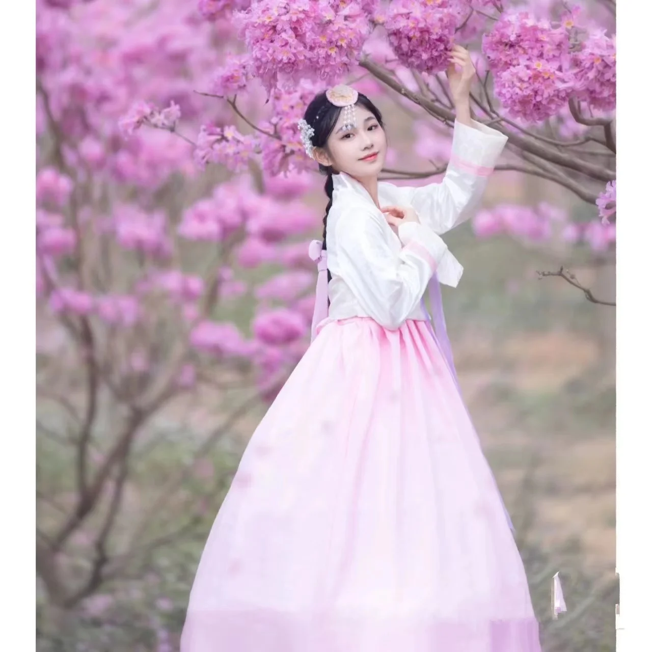 Hanbok Yanbian Abito da corte femminile coreano Abito da ballo quotidiano Abito da principessa Yanji