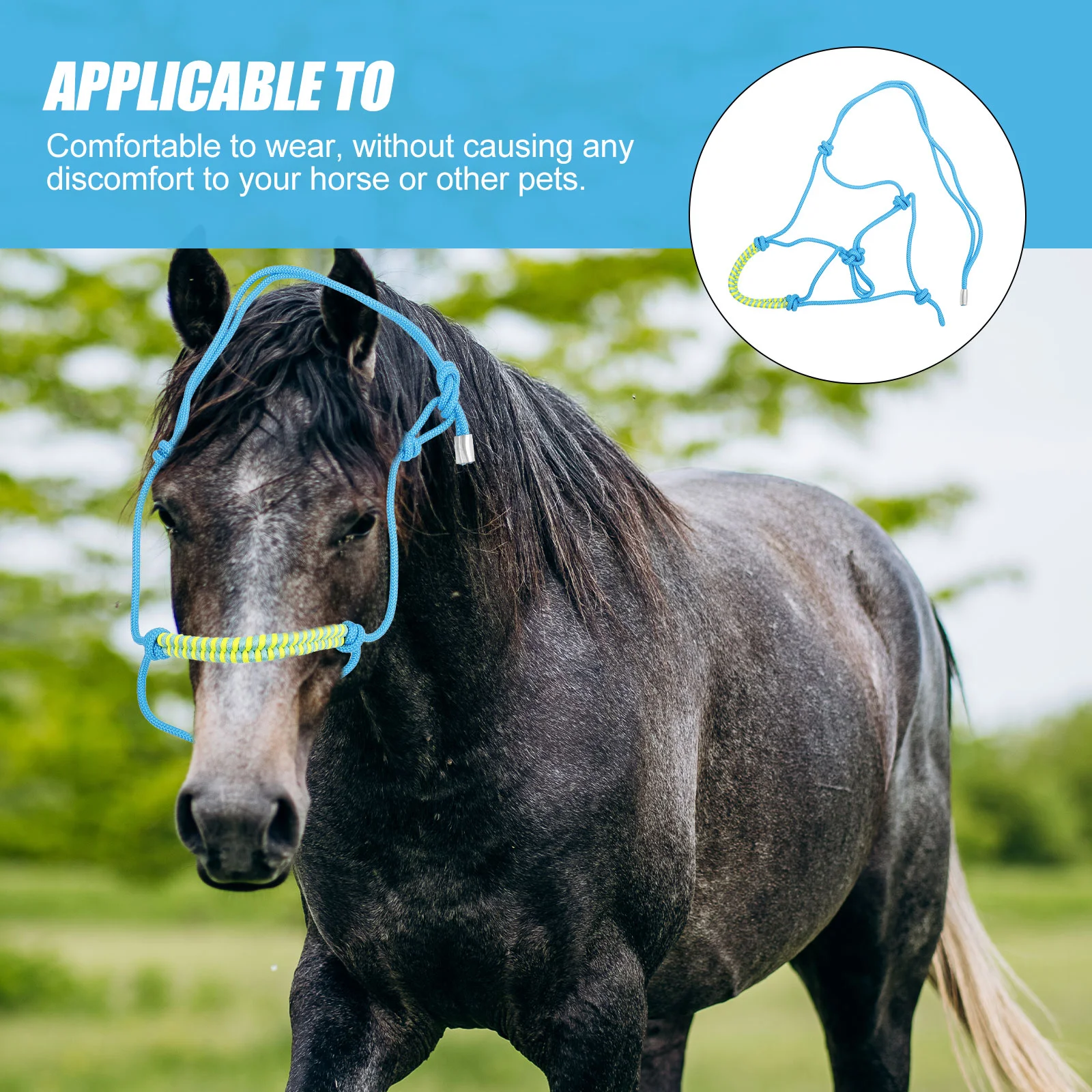 ปรับ Multi-Knot เชือกถัก Horse HEAD ปฏิบัติ Halter Supply เต็ม Reins การฝึกอบรมไนลอนกลางแจ้งเพื่อความปลอดภัย