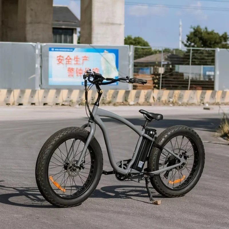 BR Big Discount Fat Tire Electric Beach Cruiser Ebike 48v E Cruiser Bicycle 750w Fat Tire Electric Mountain Bike Bafang E City B