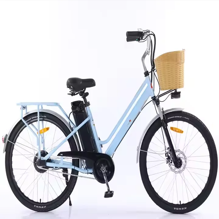 48V20ah Lithium Battery Pedal Assist 350W Big Power 35km/Hr Max Speed Electric Bike Electric Bicycle 2 Wheel Open Ebike