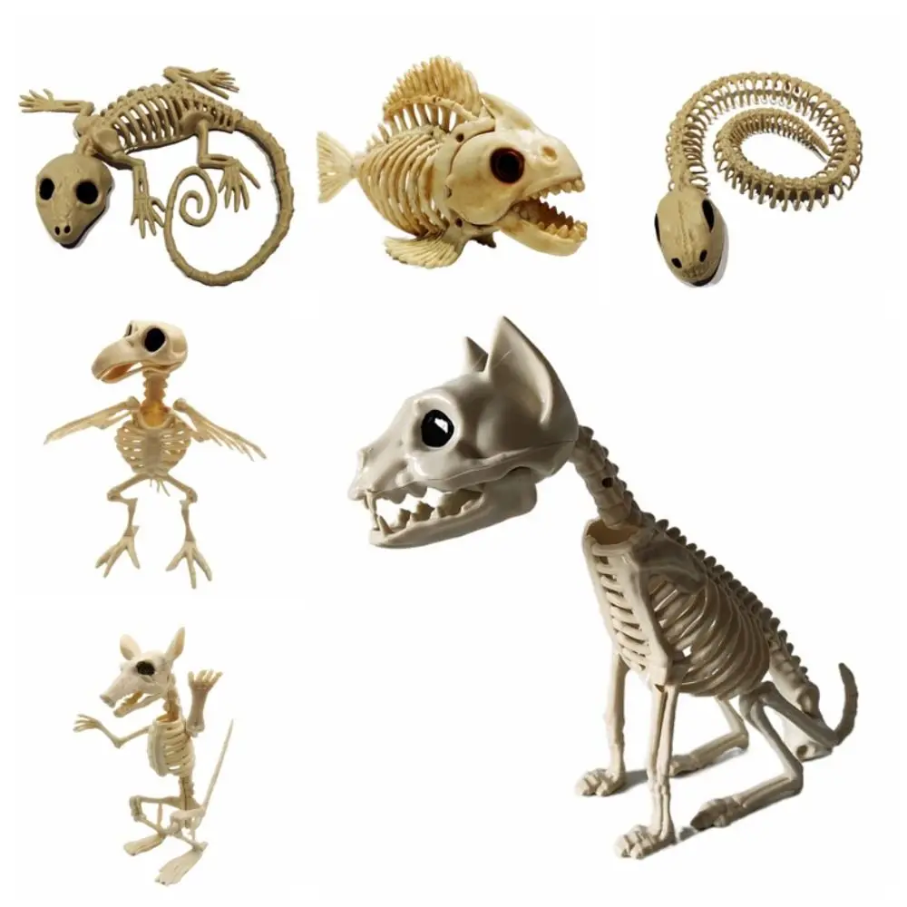 

Skeleton Model Scary Halloween Bats Skeleton Cat Snake Halloween Animal Skeleton Fish Crow Ghost Festival