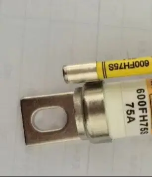 

600FH75S 600FH100S 600FH125S 600FH150S 600FH20S 600FH25S 600FH30S 600FH35S 600FH55S 600FH50S Fuse New Original