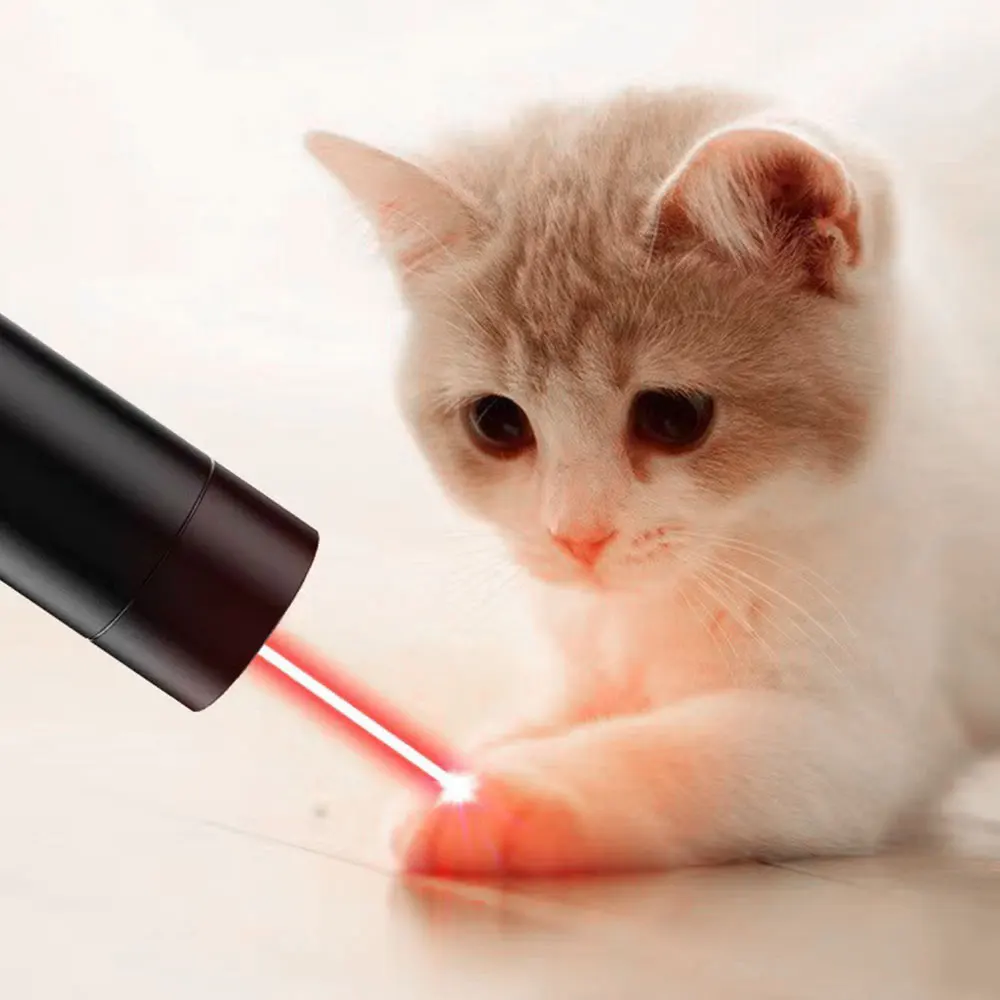 365nm Mini UV Flashlight With Red Laser 395nm Ultraviolet Torch USB Rechargeable Cat Moss Tease Ultraviolet Violet Light Lamp