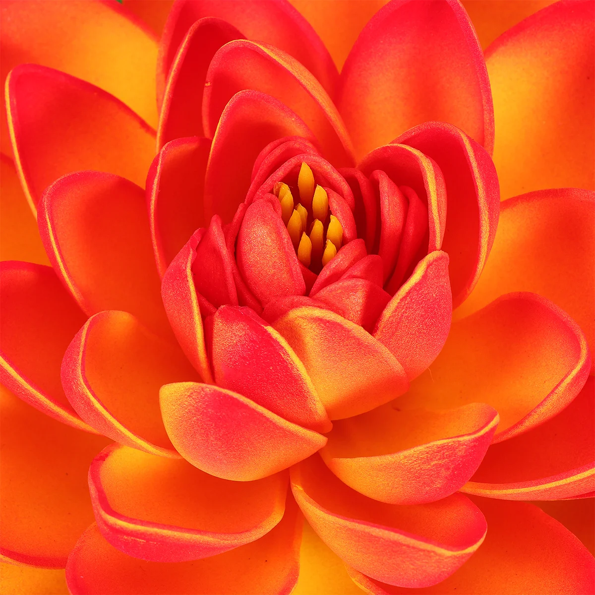 

6Pcs Artificial Water Lilies Plastic Pond Plants 4m 2L Red Embossed Leaves Veining Detail Home Garden Pool Decor