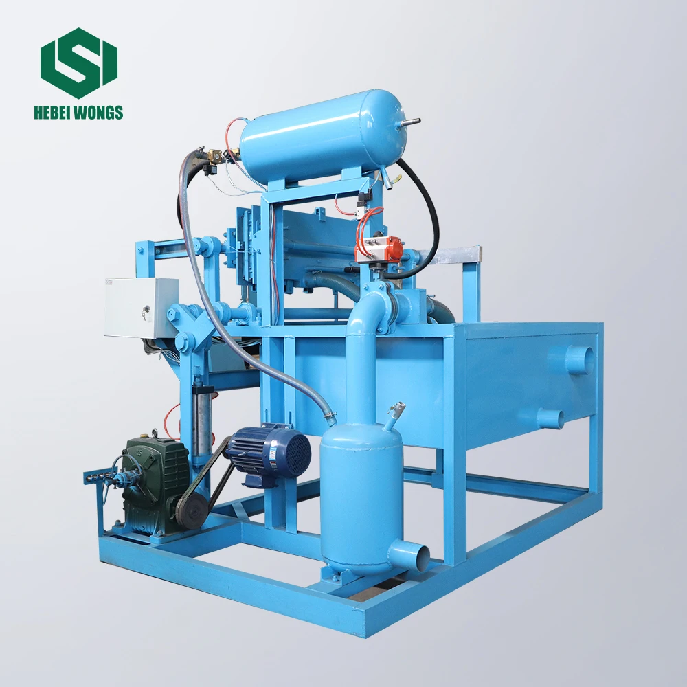 Eco-friendly Best Seller Egg & Coffee Tray Paper Production Machine with Gearbox Motor Engine-High Capacity 20-140 Pcs/Min
