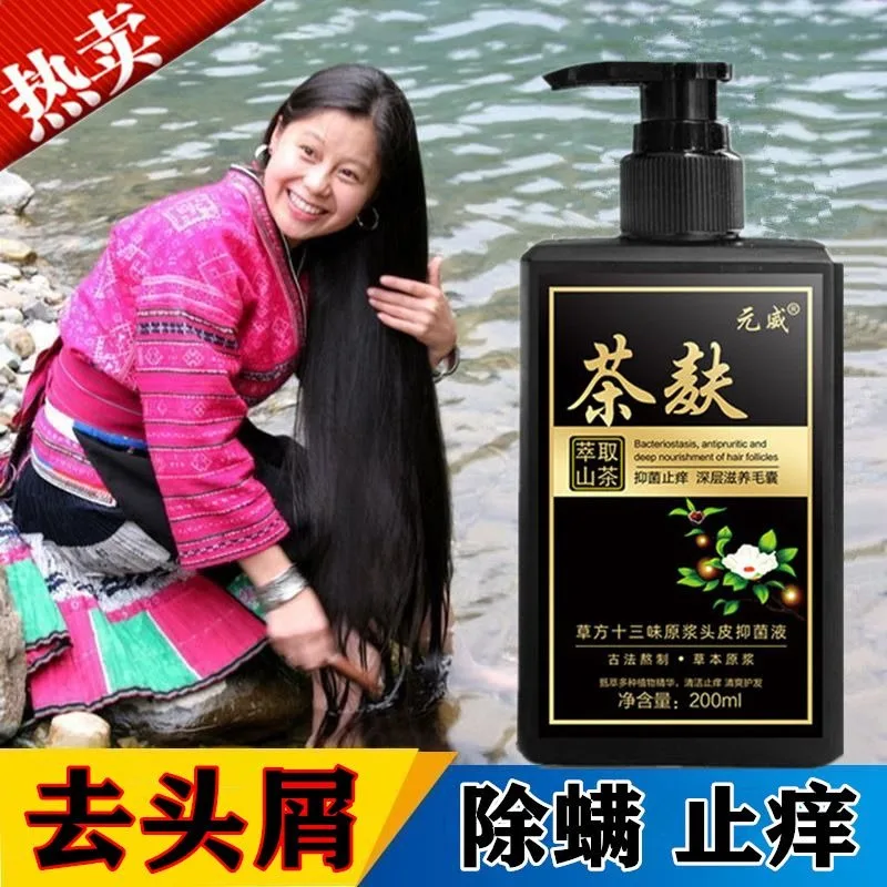 Tea Polyphenols Shampoo - Natural Camellia Anti Dandruff Shampoo for Itchy Scalp, Deep Cleansing Refreshing Moisturizing Shampoo