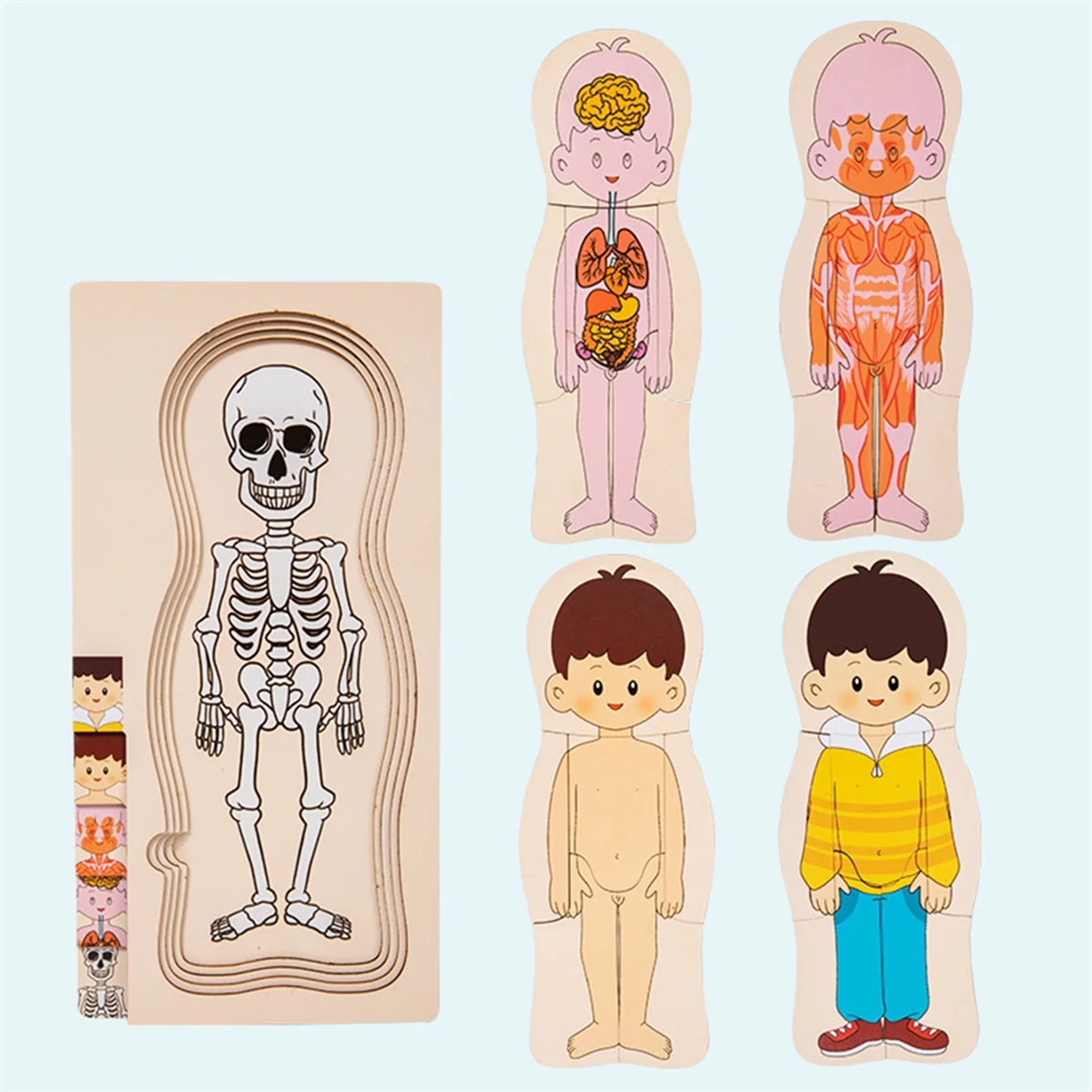 A72Z Wooden Human Body Structure Puzzle Children'S Multi-Layer Plane Puzzle Early Childhood Education Toys,Boy