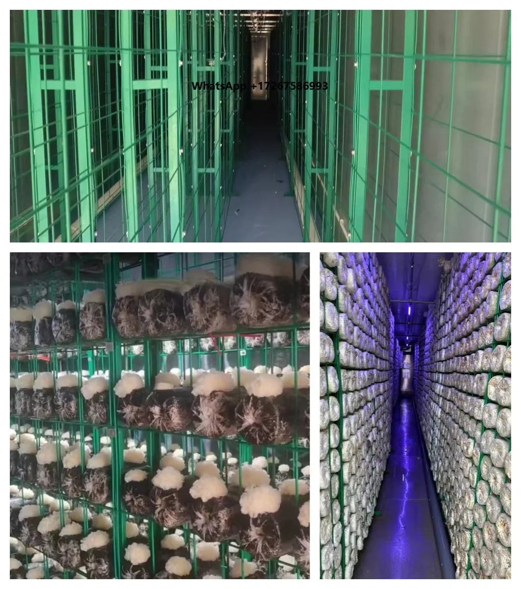 Commercial Turnkey Mushroom Farm Smart Growing Container with Automatic Humidity Temp Climate Control System