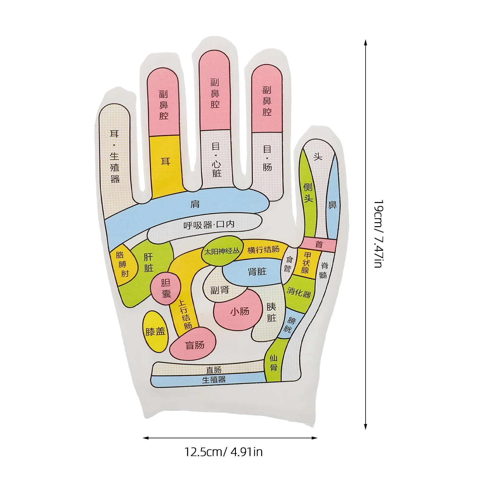 1 مجموعة 1 مجموعة قفازات التدليك المحمولة العلاج بالابر ريفليكسولوجي الجوارب مرونة قابلة لإعادة الاستخدام مدلك يدوي للجسم القدم لتخفيف الآلام #2