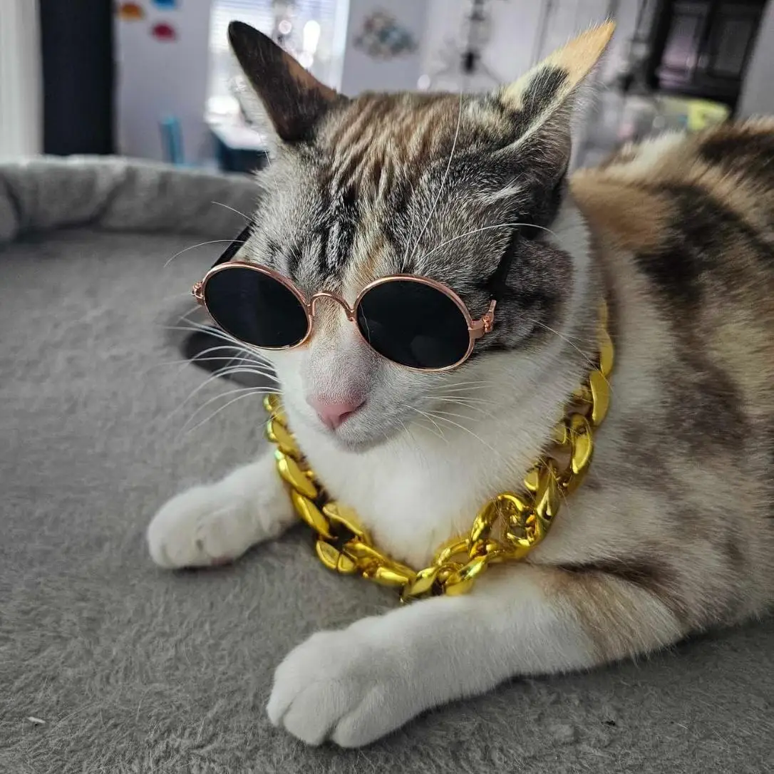 TONG Cat Glasses Cat Sunglasses Gold Chain Costume Decorations Dog Retro Sunglasses Faux Silver Adjustable Chain Glasses for Cat