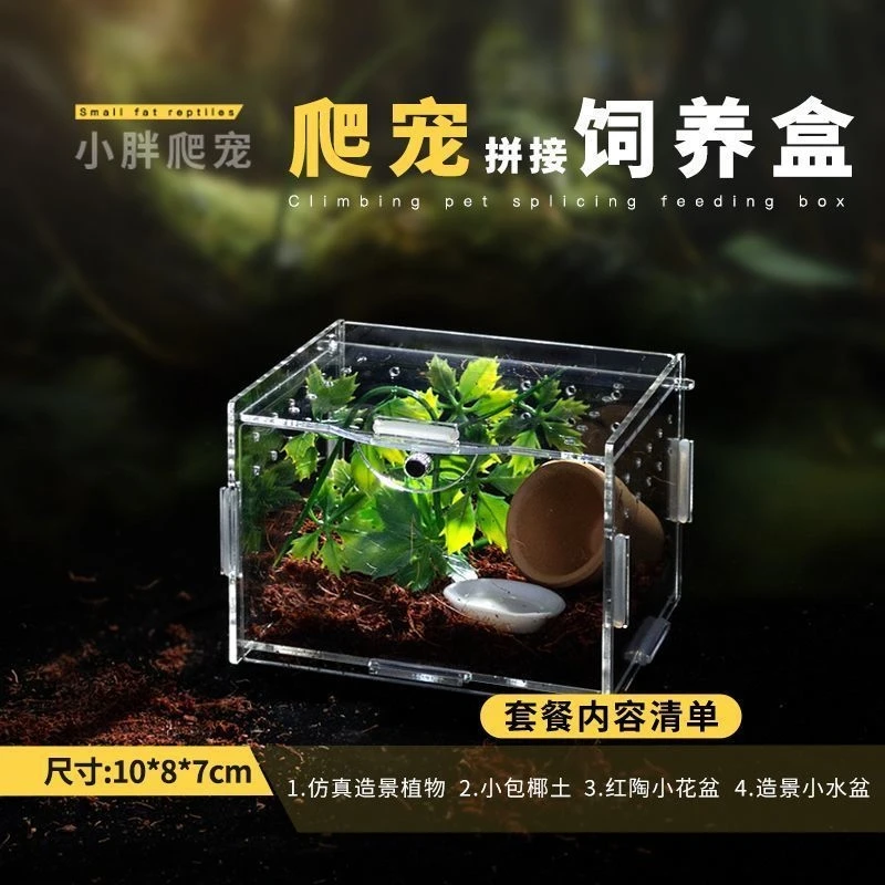 

Acrylic Reptile Enclosure Box Ventilated Habitat For Geckos Lizards Frogs Ideal For Home Display Halloween Gift For Reptile Fans