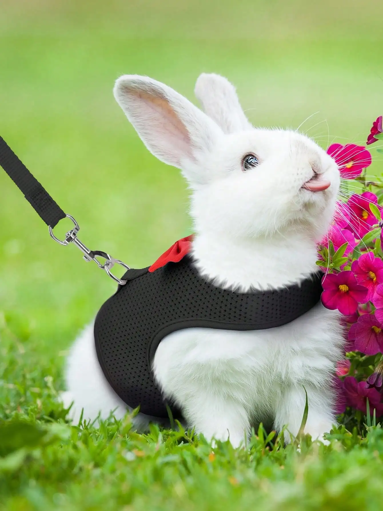 1 arnés ajustable para conejos con correa, chaleco de malla transpirable y correa para conejos, hámsteres y gatos, adecuado para uso en exteriores con animales pequeños.