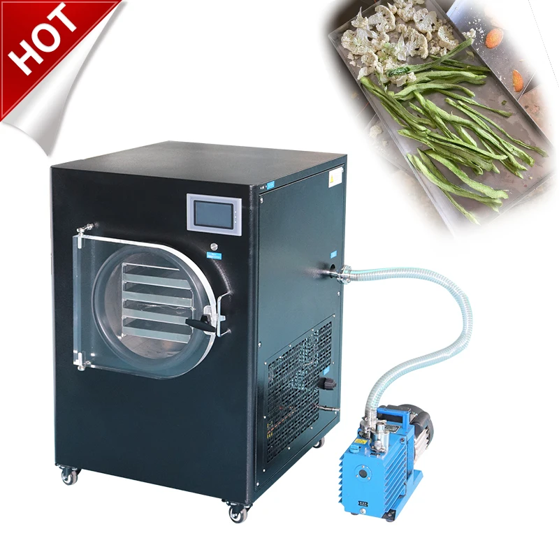 Best Quality China Manufacturer 4 5 6 Kg Freeze Dryer Food Drying Lyophilizer Machine for Home Use with Vacuum Pump Price