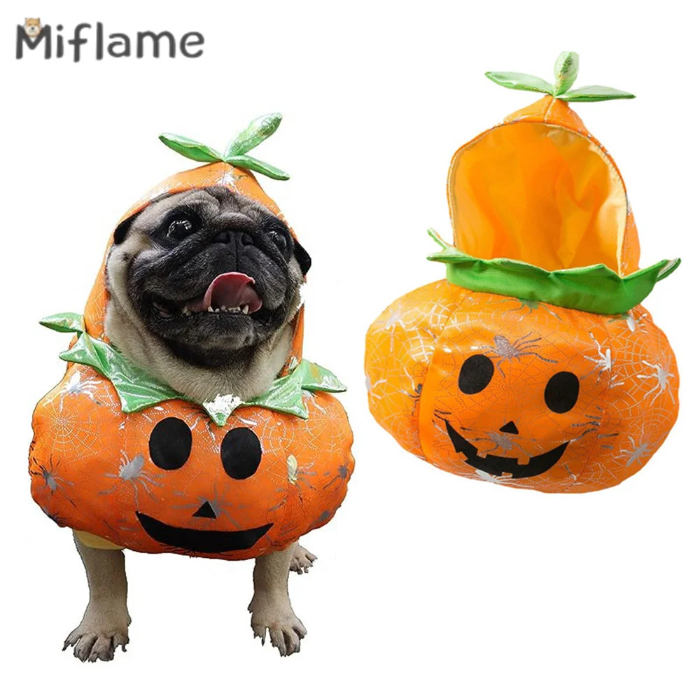 

Miflame Pet Apparel Halloween Pumpkin Outfit Small Medium Dogs Funny Transformation Clothing Shiba Inu Terrier Standing Costume