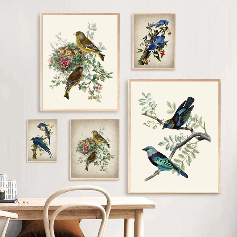 Tanager Bird Print Golden Hooded and Masked Tanagers Vintage Illustration Poster Bird Wall Art Canvas Painting Living Room Decor