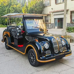 Carrello da golf elettrico personalizzato con supporto legale per strada Auto elettrica per adulti Auto classica elettrica con altoparlante Mini per famiglia e caccia