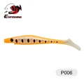 P006