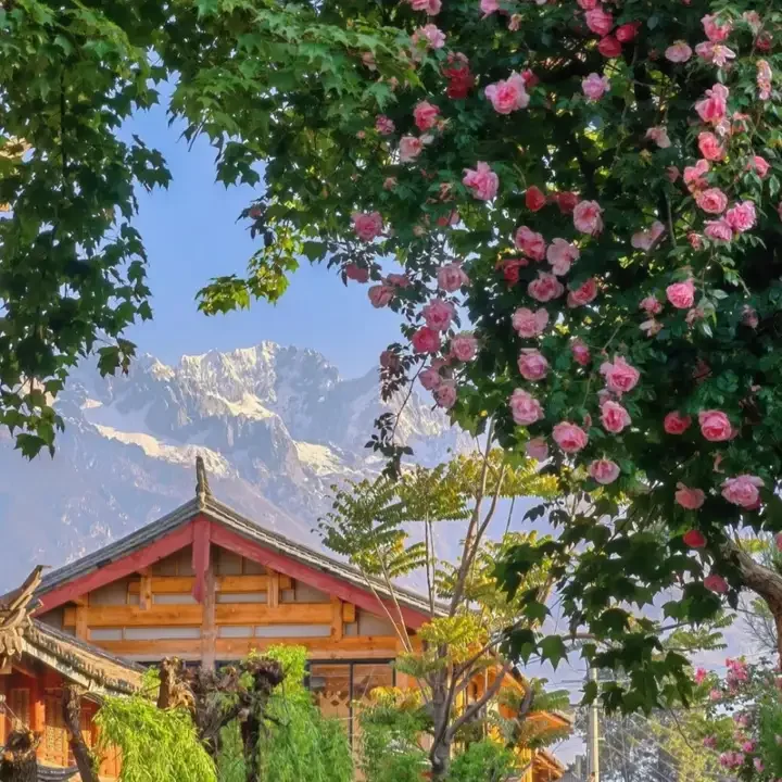 Da 12.3 Inch Lcd Di…