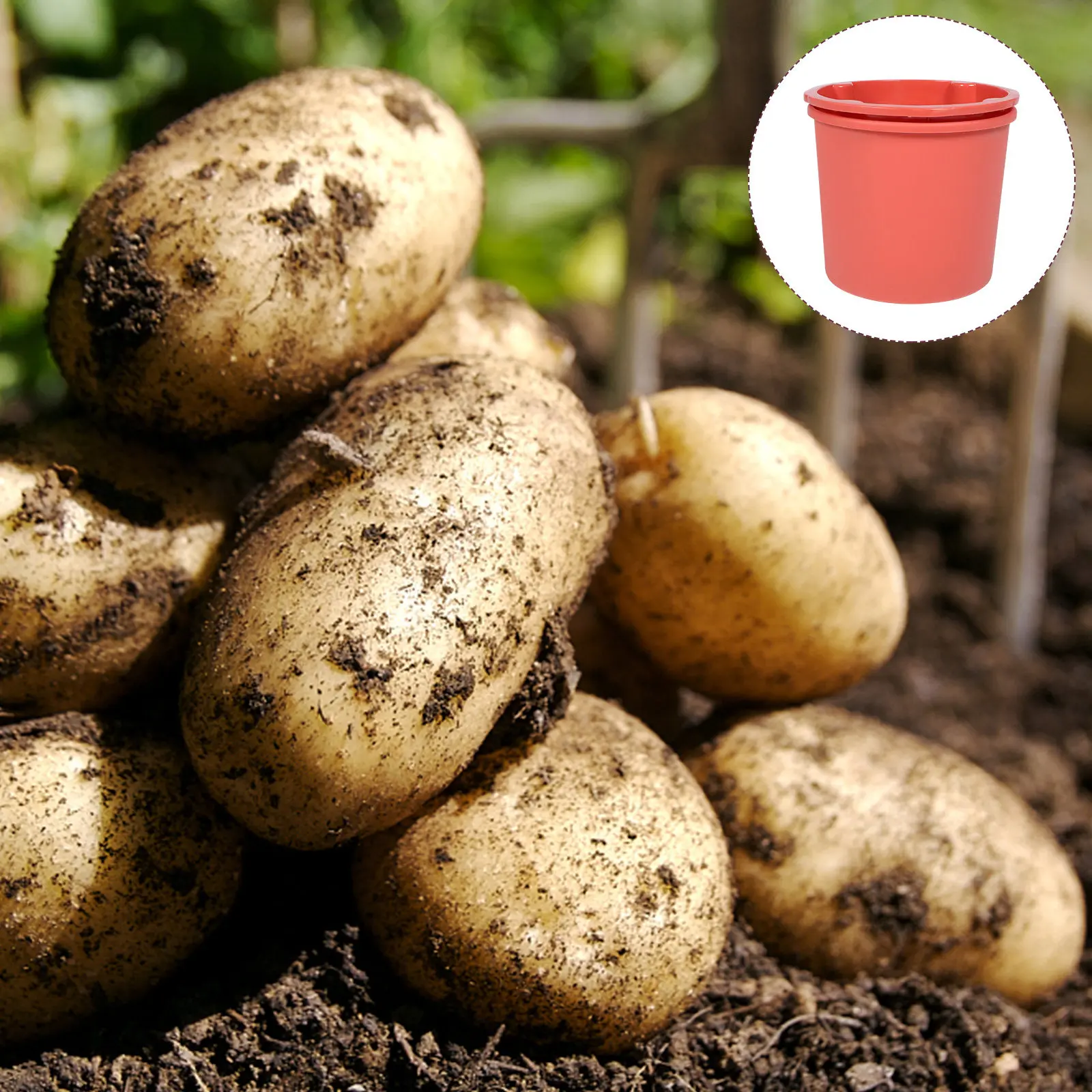 Two-Tier Potato Growing Pot Heavy-Duty Plastic Planting Bucket Easy-Clean Reusable Gardening Supply for Home Outdoor Vegetable