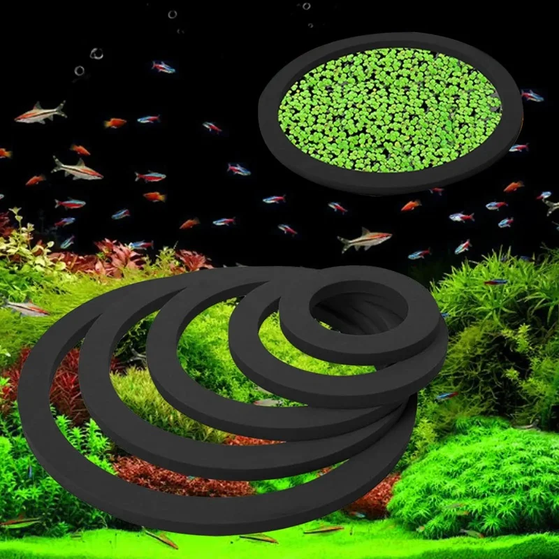 5Pcs Aquarium Floating Plant Rings Fish Feeding Rings Floating Grass Blocking Rings for Fish Tank Aquarium Pond Accessories