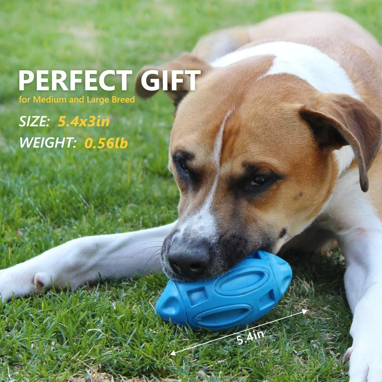 Dog Toys Rugby Dogs Resistance Bite Dog Rubber Chew Molar Cleaning Teeth Interactive Training Game Pet Puppy Ball Toy Supplies