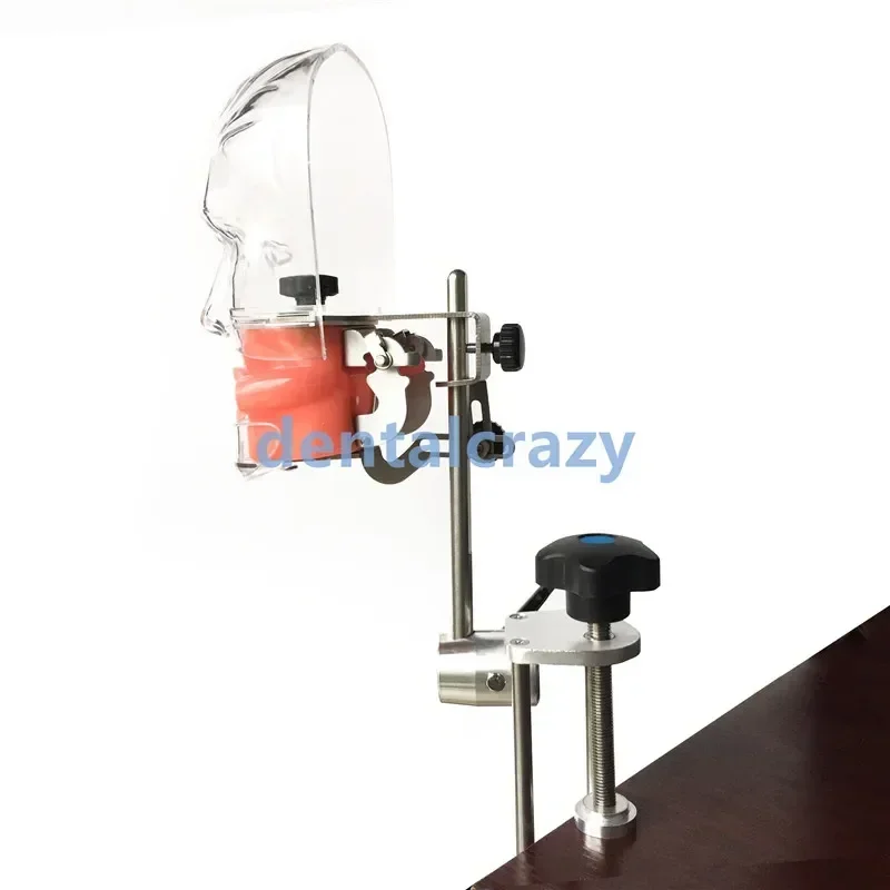 Dental simulator Nissin manikin phantom head Dental phantom head model with bench mount for Dentist Teaching Practice