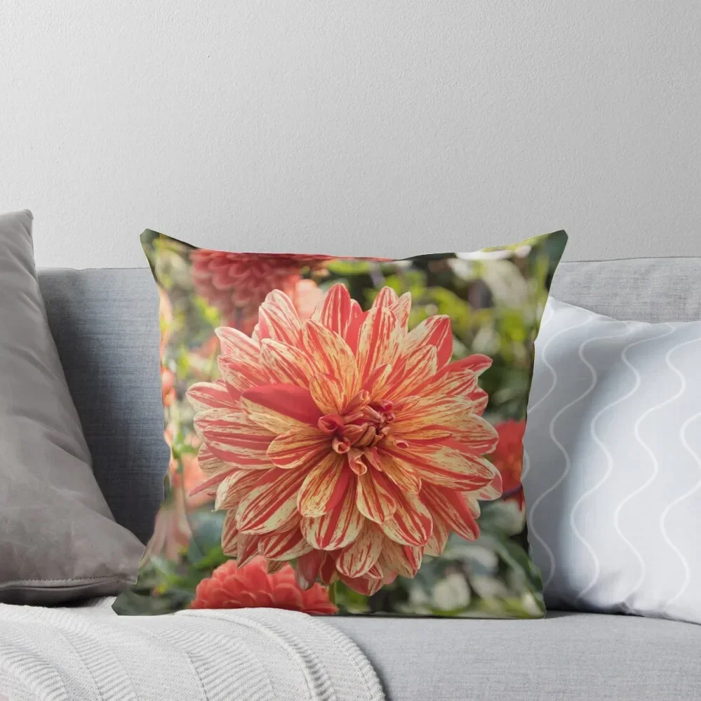 Dahlias Throw Pillow Cushion Cover Set covers for pillows pillow