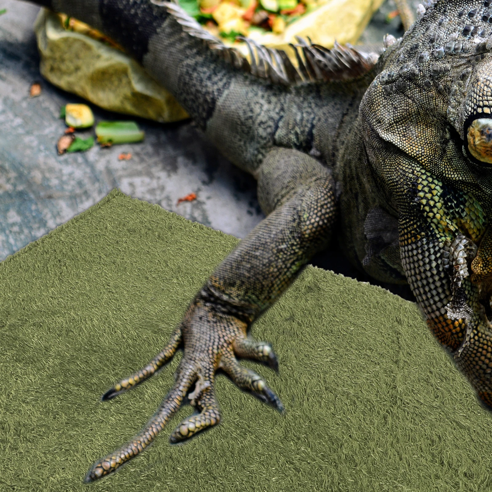 

Fake Lawn 40x40 Reptile Carpet Sphagnum Moss Substrate Durable Breathable Reusable Terrarium Liner Pet Bedding TORTOISE Snake