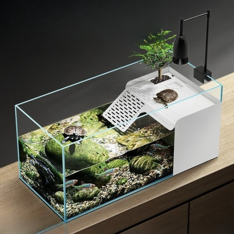 separation turtle and fish polyculture with climbing platform, side filter, self-circulation ecological glass tank
