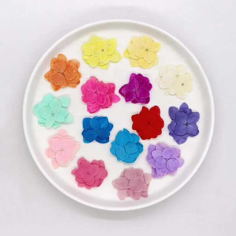 1.5~2.5CM/24PCS Real Natural Dried Pressed Hydrangea Flower Head,Dry Press Flowers Petals For Epoxy Resin Jewellery,Phone Case